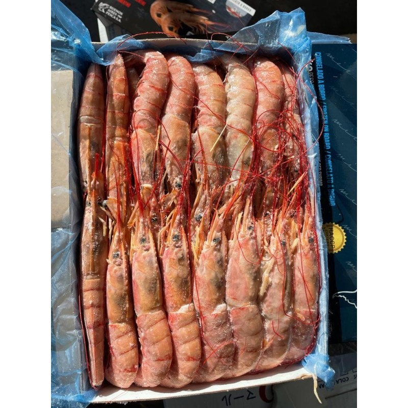 FROZEN PRAWNS AND SHRIMPS FROM ARGENTINA