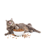 -CAT FOOD