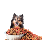 AR-dog-food