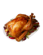 DE-turkey